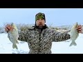 Караси по 1 кг не лезут в лунку 180 мм Рыбалка 2021 Рыбалка на хапугу зимой в Сибири Рыбалка на паук