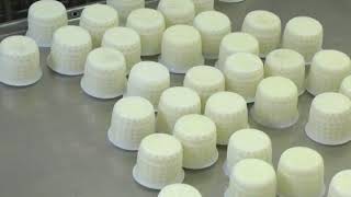 Usina Láctea "El Puente", una empresa de 40 años que es el polo industrial de Ordóñez