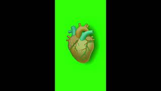 Pack Veriyorum Şartlar Abone Ol Like At Aldım Yaz -