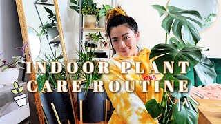 Indoor Plant Care Routine  // Vlogmas 2020 - Day 22