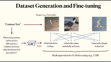 Improved Zero-Shot Classification by Adapting VLMs with Text Descriptions [CVPR 2024]