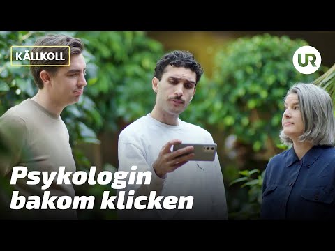 Video: Hur Man Gör Speciella Kalkonkoteletter