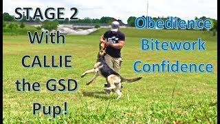 Stage 2, Day 1: Bitework with Puppy Callie