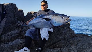 NEW VIDEO  52 KG FISHING  TUNA LANDBASED WITH SHORE JIGGING TACKLE  NEW RECORD 52 KG in 15min