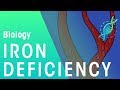 Iron Deficiency | Cells | Biology | FuseSchool