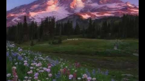 205 - Princess (Music official) 