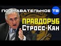 Правдоруб Стросс-Кан (Познавательное ТВ, Артём Войтенков)