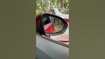 Grasp the safe distance between cars in one move.#shorts  #short  #shortsvideo