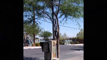 Alpha Surveillance HOA Gate Systems