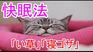 【快眠】シーツ部分を涼しくしたいなら「い草」「寝ゴザ」を活用