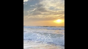 سورة التغابن آية ١١