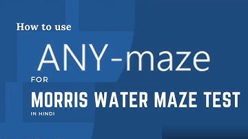 How to use Anymaze Software for Morris Water Maze | Protocol Design and Explanation In Hindi