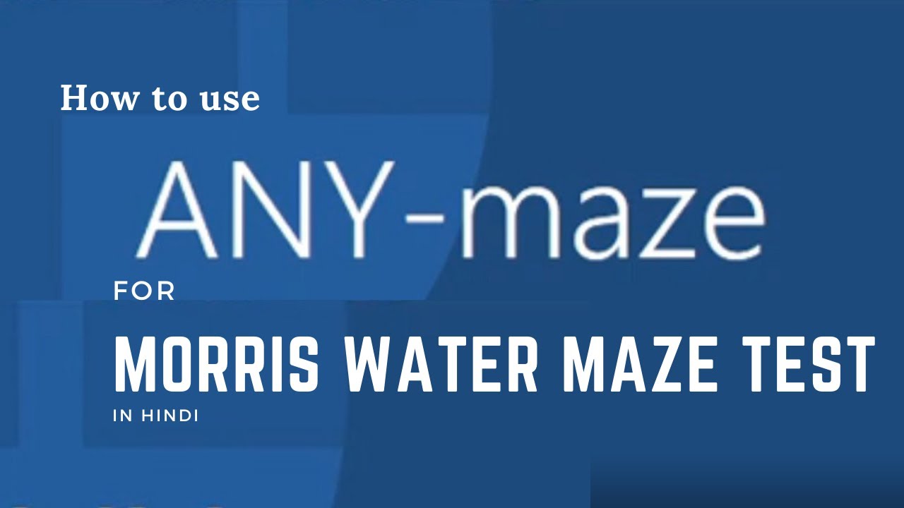 any-maze software any-maze software