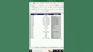 Excel Tips and Tricks 10: How to use TRIM and PROPER Function in Excel for Data Cleansing #shorts