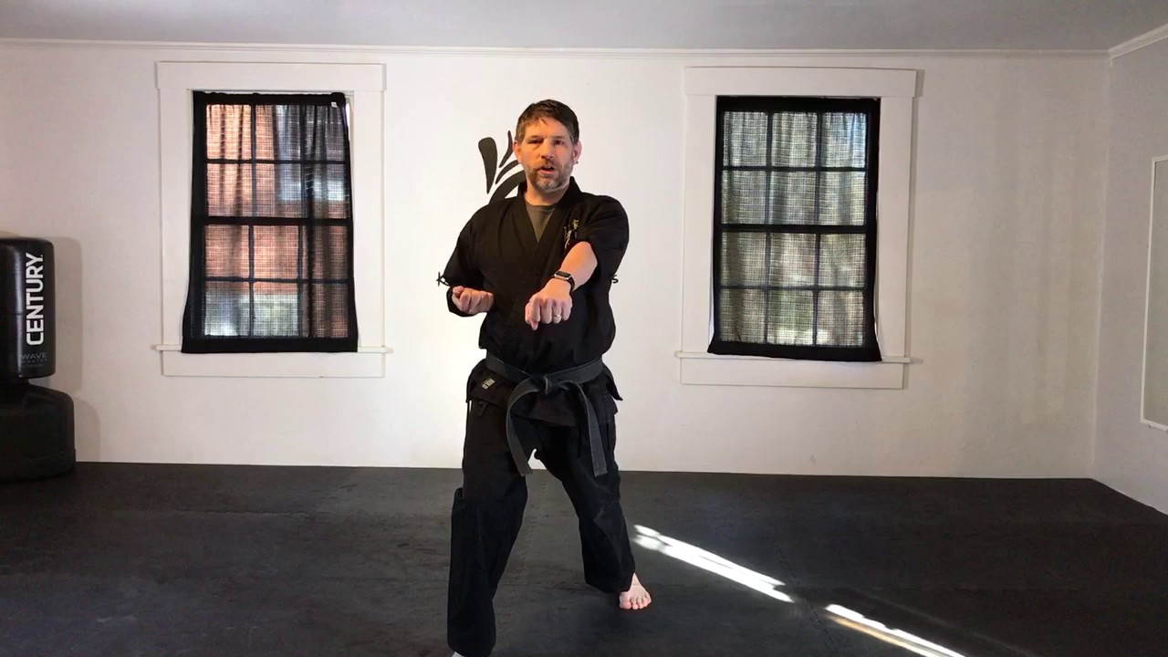Basic karate lesson Jab/punch combination. YouTube