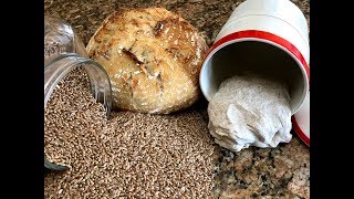 Capturing Wild Yeast for Bread Baking