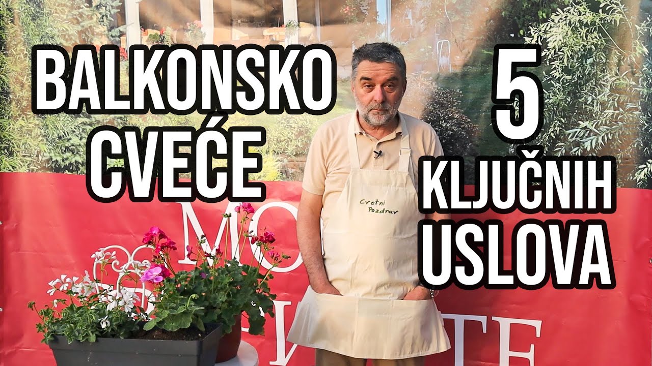 Balkonsko cveće - 5 ključnih uslova