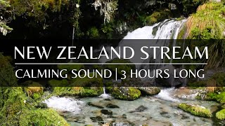 Calming Stream Sound | Beautiful New Zealand Nature | For Sleeping & Meditation