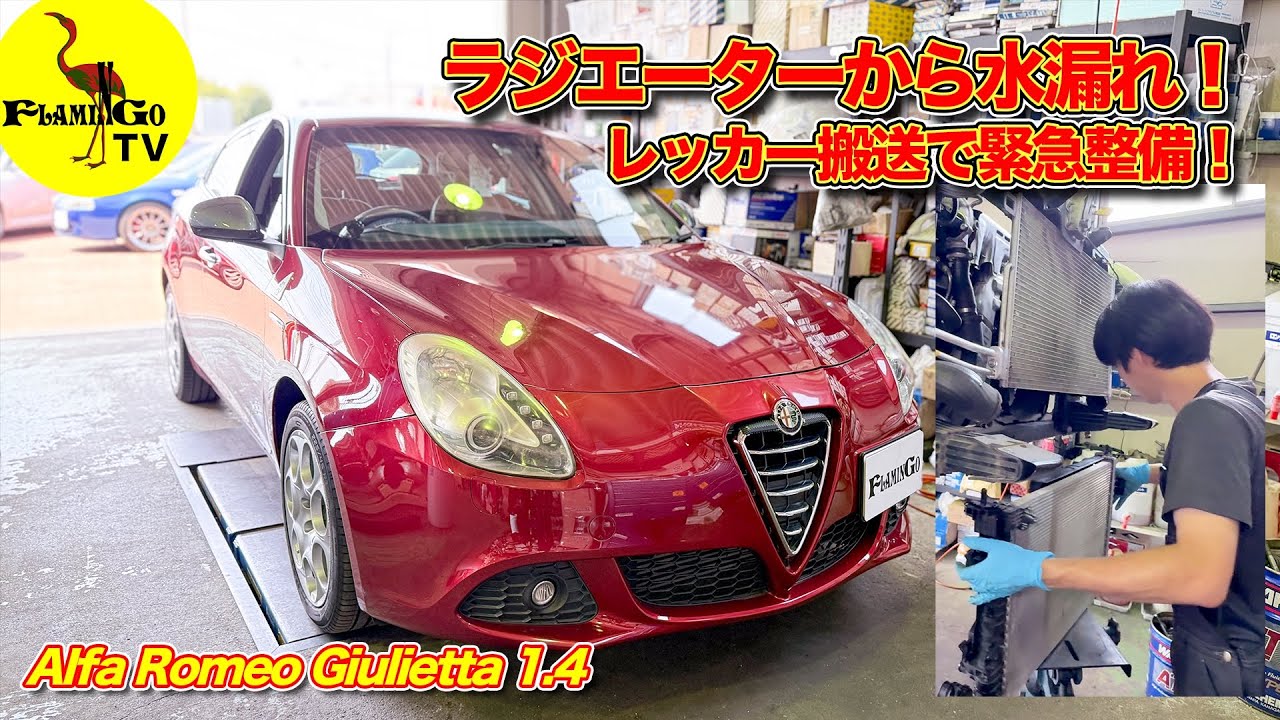 Interesting!] Delivery and maintenance at an Alfa Romeo specialty