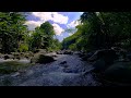 Serene River Soundscape with Soft Water Flow for Meditation, Sleep &amp; Mindful Peace