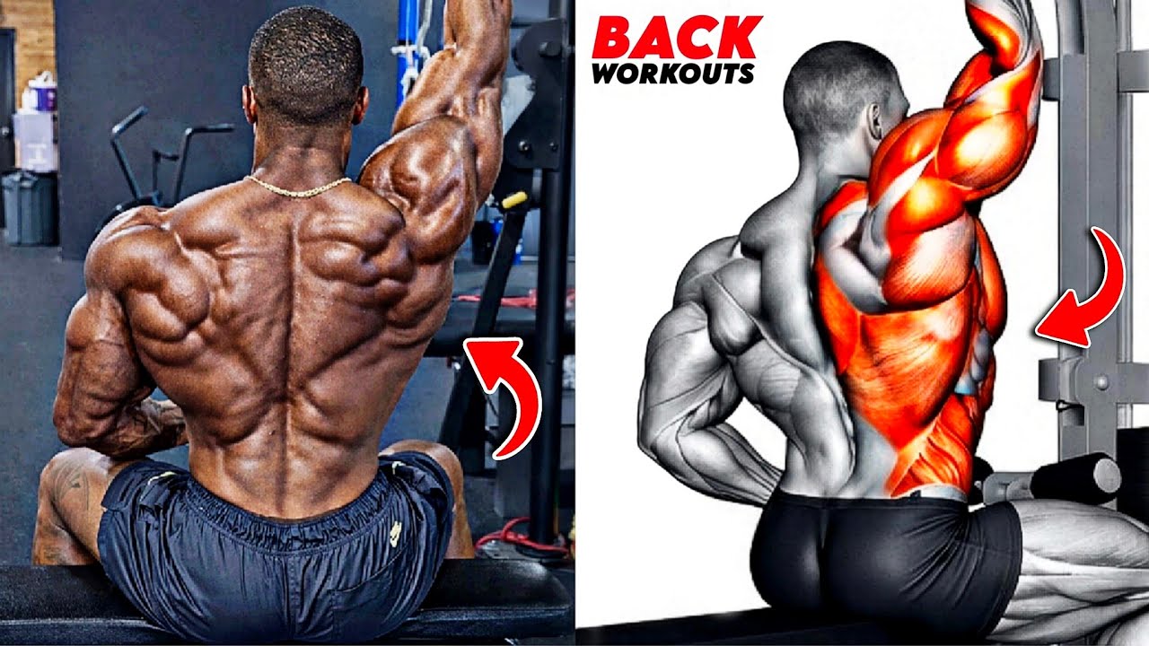 8 Best Back Exercises for BIG Size, Power & Muscle Growth 💪 - YouTube