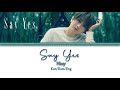 Nissy - Say Yes [Color Coded Lyrics Kan/Rom/Eng]