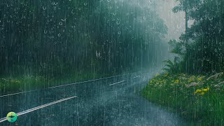 Relaxing & Fall into Sleep Immediately with Heavy Rain and Powerful Thunder Sounds at Quiet Night by Natureza Relaxante 15,579 views 2 weeks ago 11 hours, 30 minutes