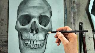 How to Draw a Skull Step by Step