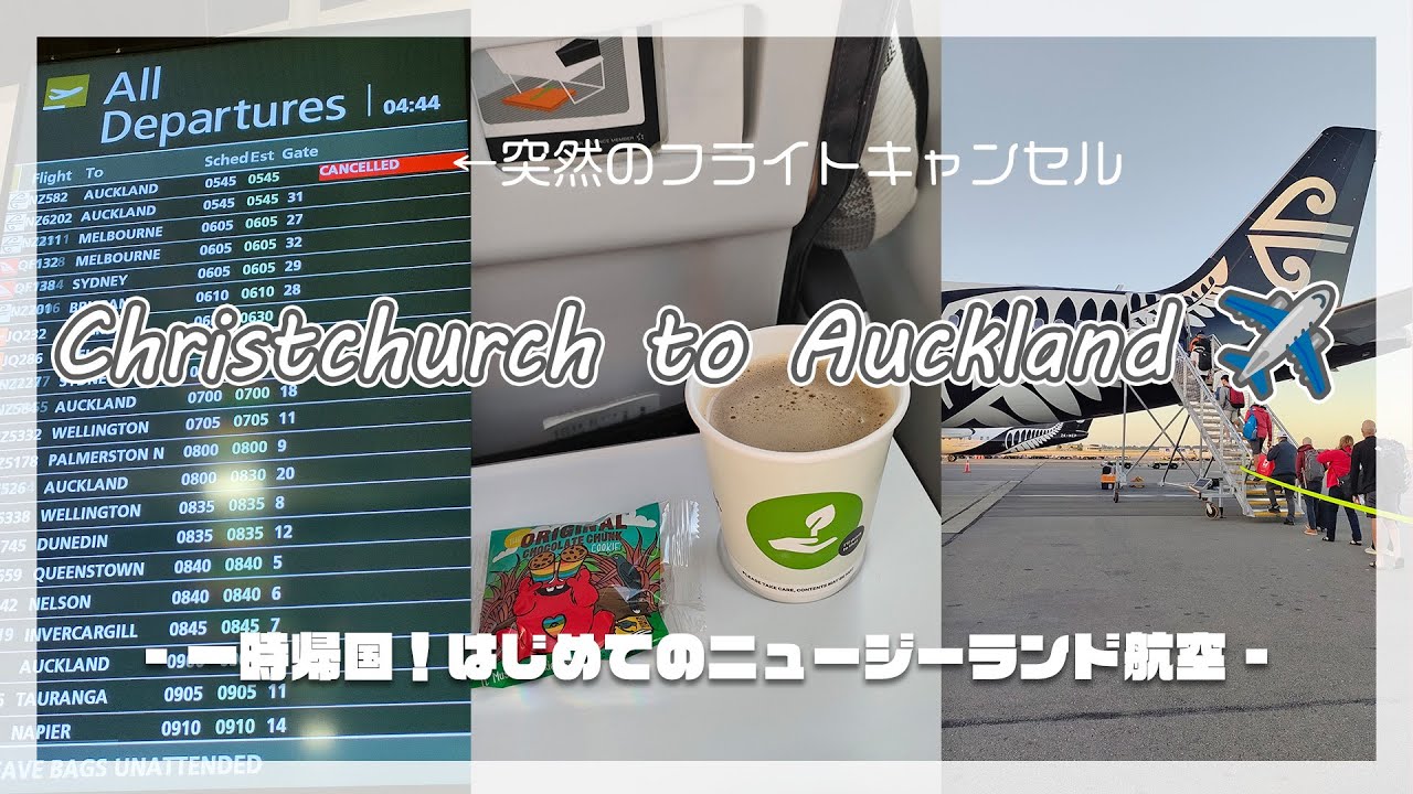 【Travel Vlog】クライストチャーチからオークランド✈｜安定のフライトキャンセルで笑う｜初めてのニュージーランド航空とオークランド国際空港｜