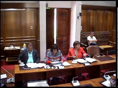 Sesión Extraordinaria Nº 2, del 9 de Marzo de 2016 consejos sabios