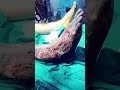 Infection 🤕 treatment