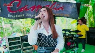 SONIA - RIA ANDHIKA - CAMELIA PELAN TAPI PASTI - HALAL BIHALAL PEMUDA CINGRU BERSATU - PATI