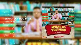 Harmonize Ft Anjella - What Do You Miss (Official Audio)