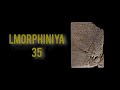 L'morphine - L’morphiniya 35 (Official Video)