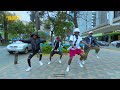Diamond Platnumz Kanyaga Dance Choreography Chilubatheone