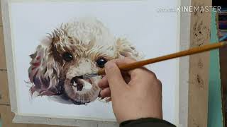 반려동물 수채화/watercolor painting