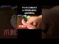 2ヶ月半後に剥がれる爪.. #shorts #生物