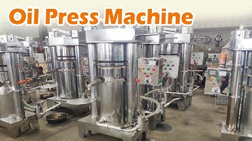 Mastering Cocoa Oil Extraction with Hydraulic Press Machine | The Art of Cocoa Pulp Oil Production!