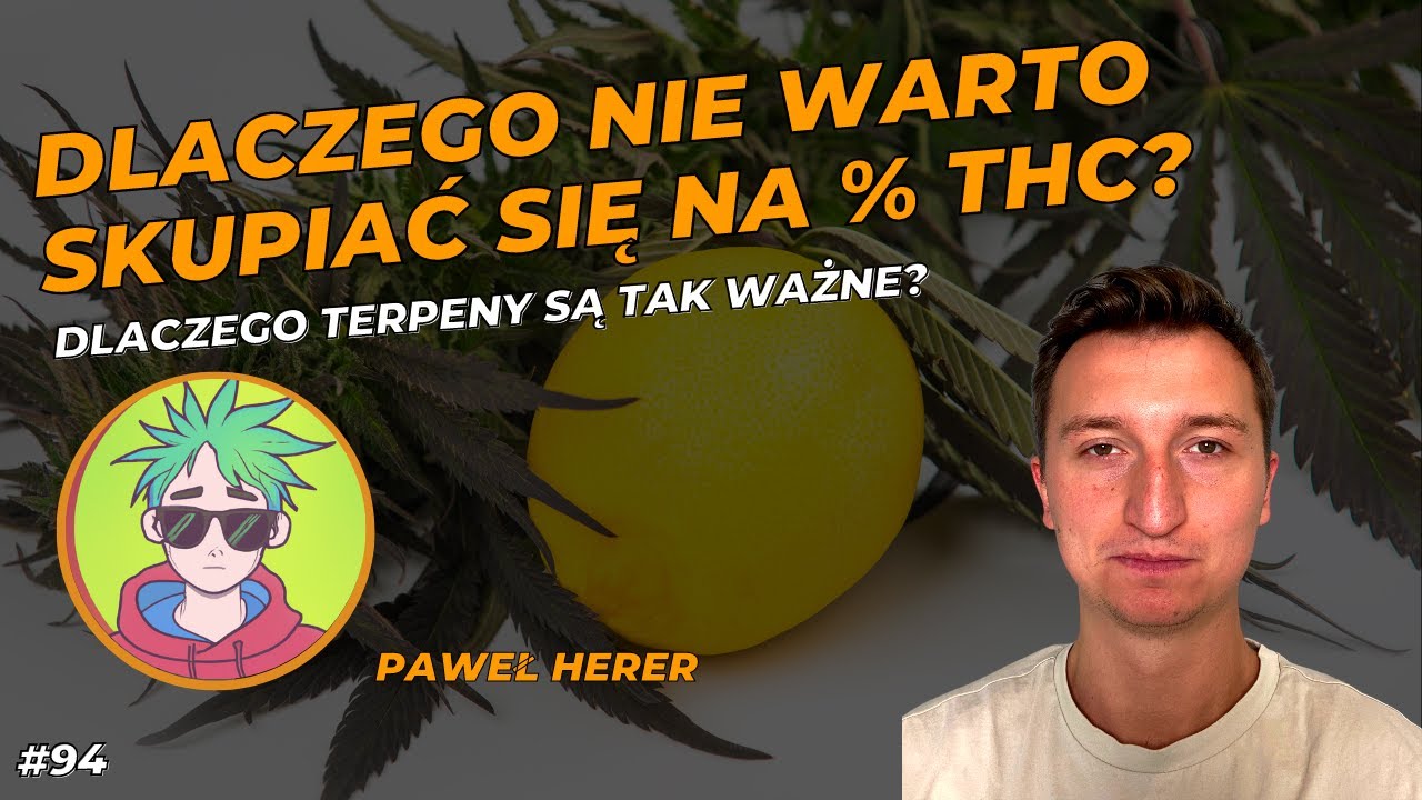 Dlaczego nie warto skupiać się na % THC? Dlaczego tak ważne są terpeny? | Paweł Herer