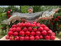 Poisson bluga frit  la grenade frache du jardin  paradis sur terre