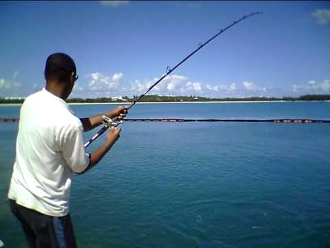 Yo-Zuri Pins Minnow Bass Fishing Shallow Running Floating Lure 
