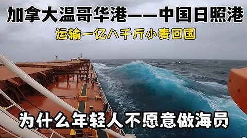 加拿大溫哥華港運輸小麥回國，年輕人為什麼不願意做海員？ - 天天要聞