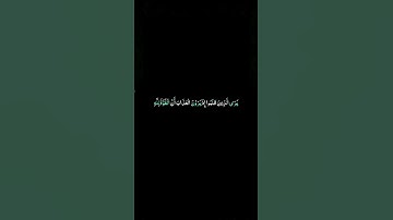 #القران_الكريم #سورة_البقره #كرومات_سوداء  الآيات 165 _ 166