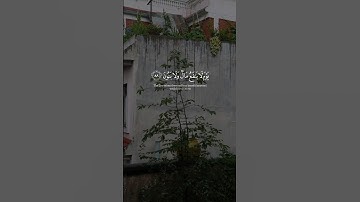 ﴿وَلَا تُخْزِنِي يَوْمَ يُبْعَثُونَ ﴾ القارئ رعد محمد الكردي