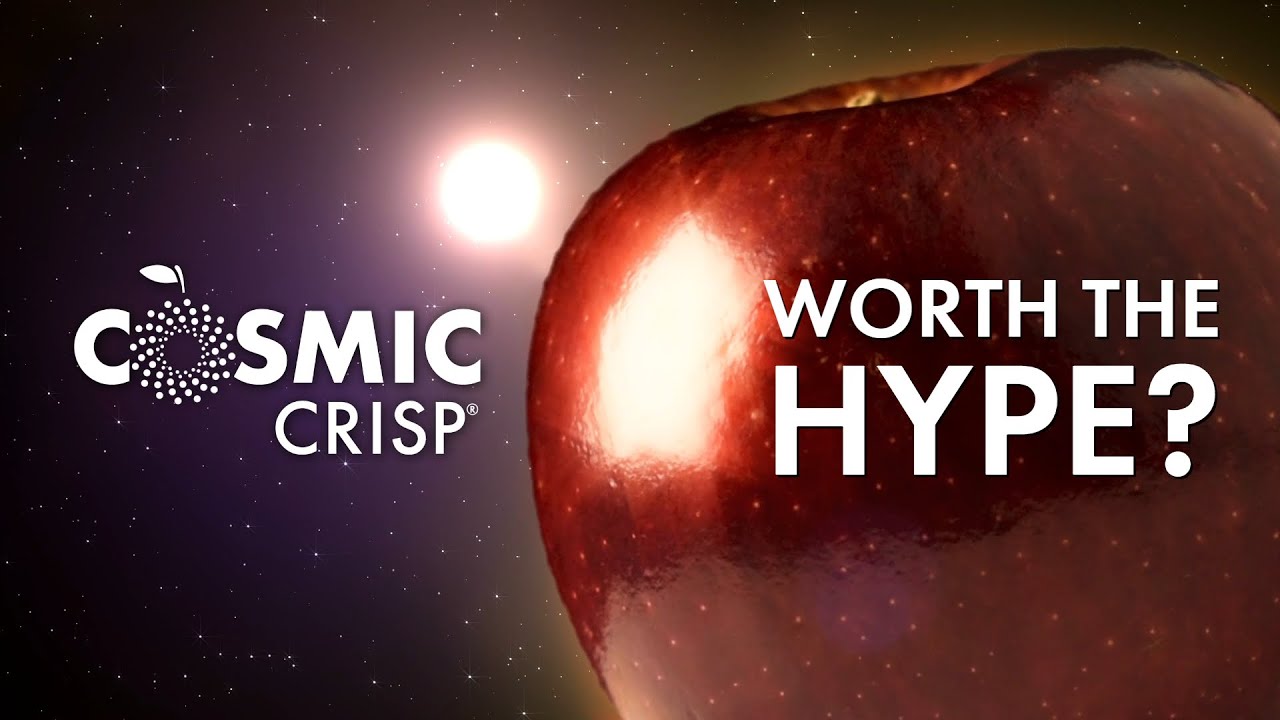 Cosmic Crisp Apples Become Year-Round Variety and Catches Organic