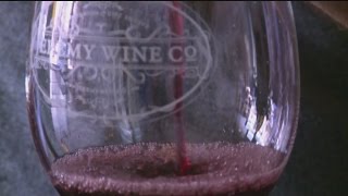 Lodi Named Wine Region Of The Year By Wine Enthusiast