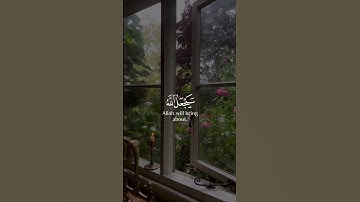 آيه قرآنيه بصوت القارئ #رعد_الكردي  سوره الطلاق 🪻
