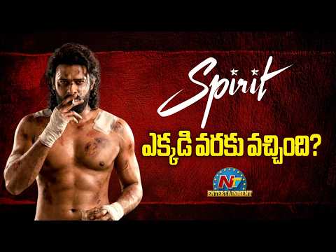 #Spirit Movie Shooting Latest Update ? | Prabhas | Sandeep Reddy Vanga | Tripti Dimri | NTV ENT