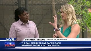 San Diego Zoo Summer Nights happening now