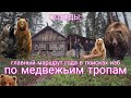 ПОХОДЫ: 78 км по медвежьим тропам в поисках изб. Главный маршрут года. Дедовы, Белое озеро, Сумара